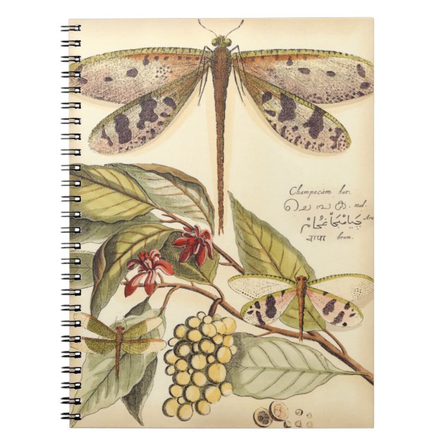 Cuaderno Dragonflies con hojas y fruta (Frente)