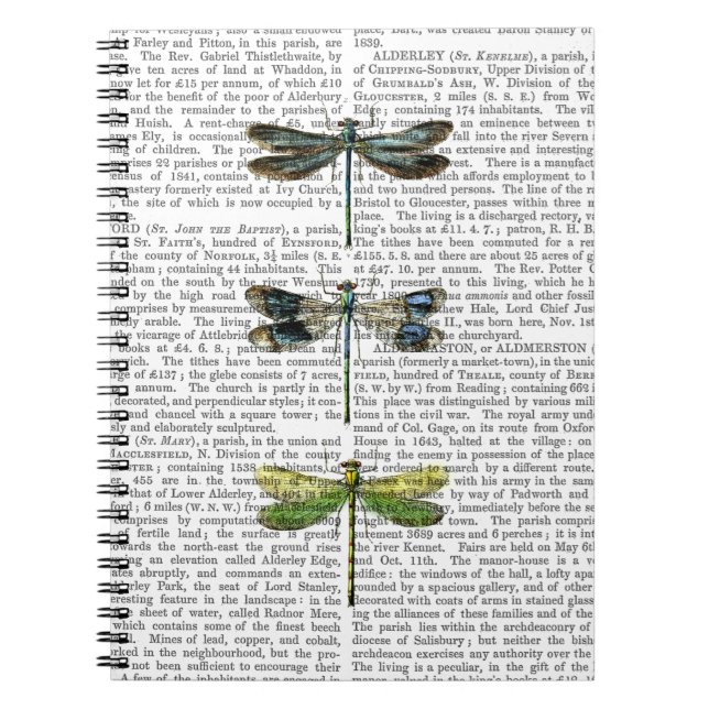 Cuaderno Dragonflies Print 3 (Frente)