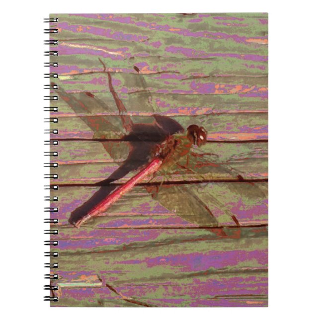 Cuaderno Dragonfly Colorful (Frente)