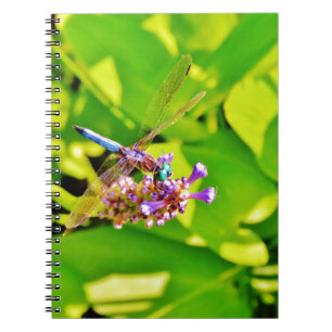 Cuaderno Dragonfly de color arcoiris sobre una flor rosa mo