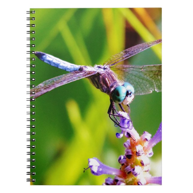 Cuaderno Dragonfly verde azulado y púrpura (Frente)