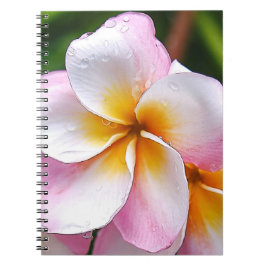 Cuaderno Dream Palette: Franjipani flower