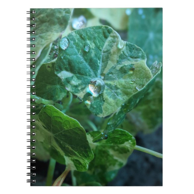 Cuaderno Drogas de la naturaleza (Frente)