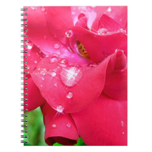 Cuaderno Droplets en el portátil de fotos de Petals