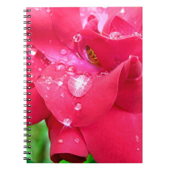 Cuaderno Droplets en el portátil de fotos de Petals (Frente)