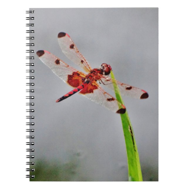 CUADERNO DSC00029.JPG (Frente)
