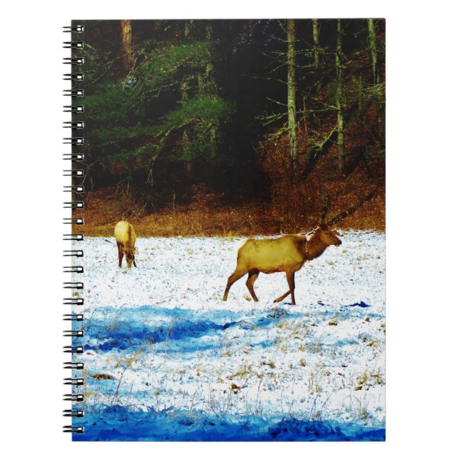 CUADERNO DSC00131.JPG (Frente)