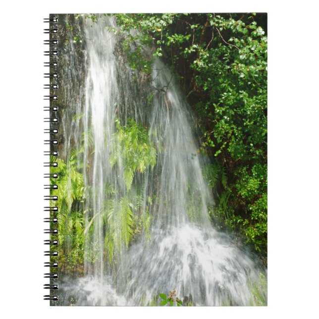 CUADERNO DSC00450.JPG (Frente)