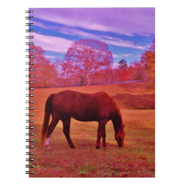 CUADERNO DSCF0536.JPG (Frente)