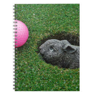 CUADERNO DSCF0652.JPG