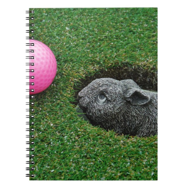 CUADERNO DSCF0652.JPG (Frente)