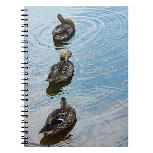 Cuaderno Ducks in a Row Notebook (Frente)