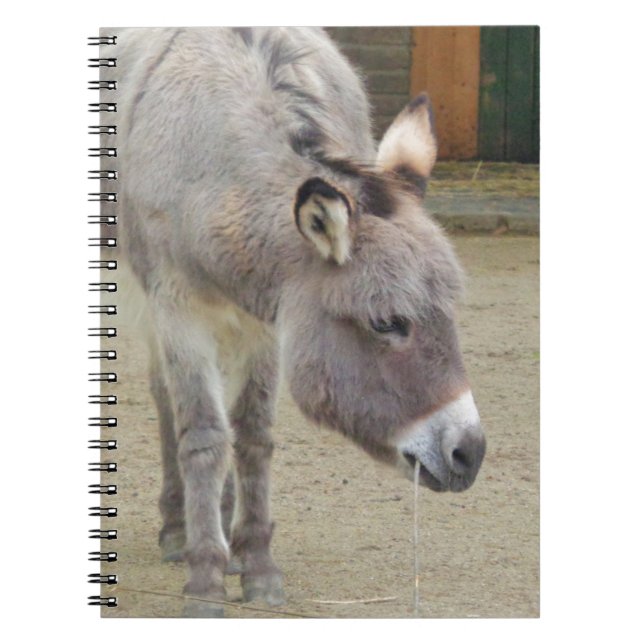 Cuaderno Dulce burro, gris animal, familia de caballos (Frente)