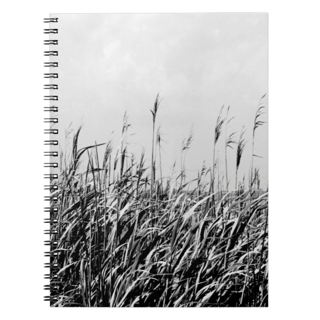 Cuaderno Dune Triptych III (Frente)