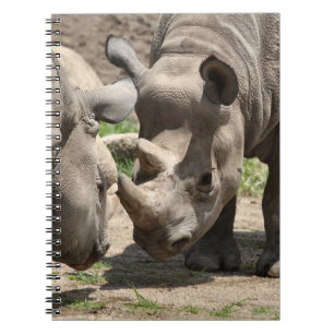 Cuaderno Duo de Rhinamic