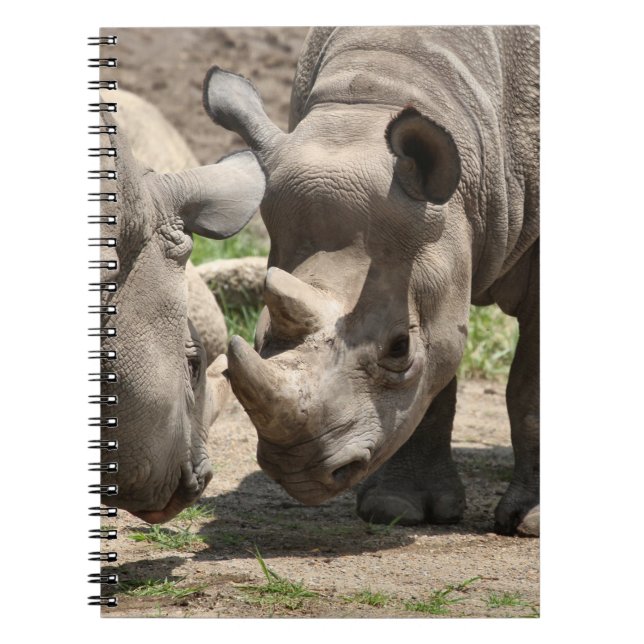 Cuaderno Duo de Rhinamic (Frente)