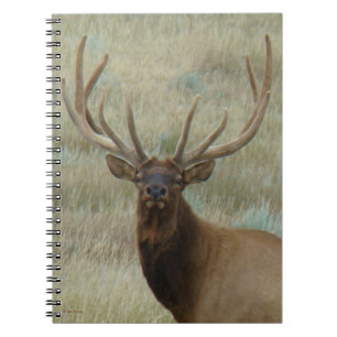 Cuaderno E10 Alce de toro con disparo en la cabeza de terci