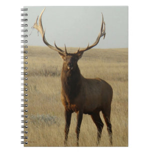 Cuaderno E13 Alce Toro Hierba en Cuernos