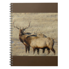 Cuaderno E24 Alce Macho