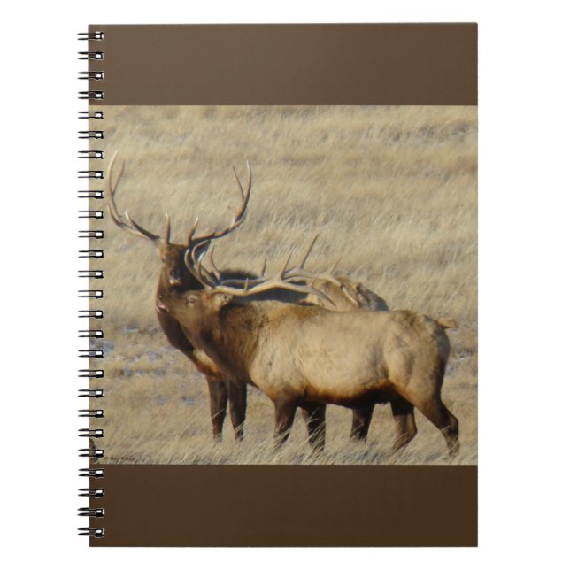 Cuaderno E24 Toro Elk (Frente)