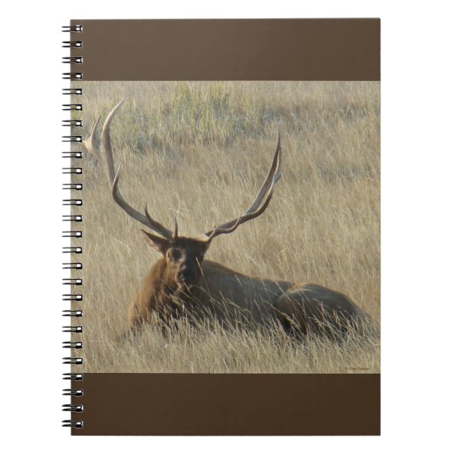 Cuaderno E25 Alce de toro en hierba (Frente)