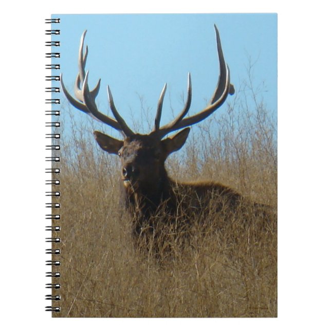 Cuaderno E26 Alce Toro Tumbado en las Malezas (Frente)