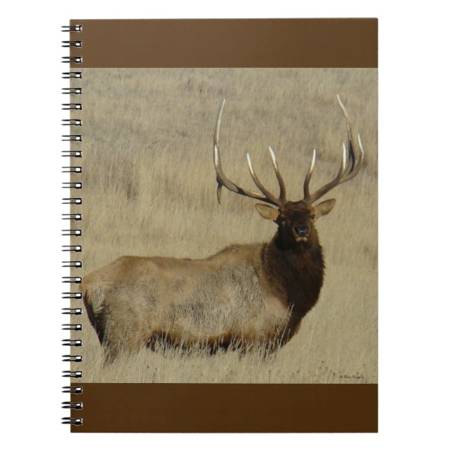 Cuaderno E30 Bull Elk Big Bull (Frente)