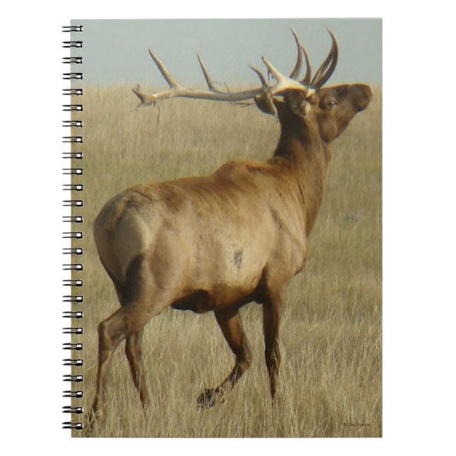 Cuaderno E35 Grasa de alce toro en cuencos (Frente)