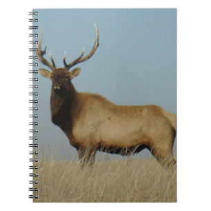 Cuaderno E43 Alce Toro Silueteado en el Cielo