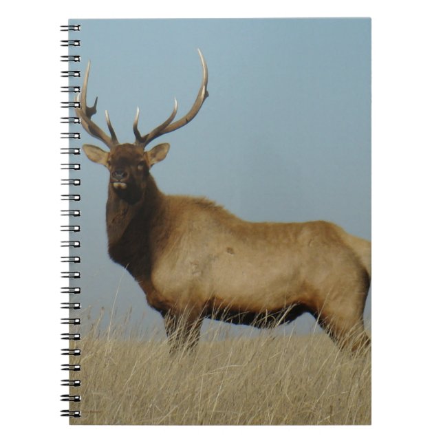 Cuaderno E43 Alce Toro Silueteado en el Cielo (Frente)