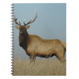 Cuaderno E43 Bull Elk Sky Lined