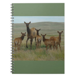 Cuaderno E44 Alces hembra y crías