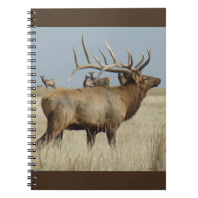 Cuaderno E4 Manada de Uapití Macho (Frente)