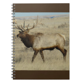 Cuaderno E55 Toro Elk