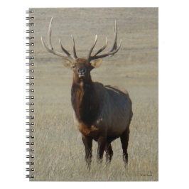Cuaderno E59 Alce Toro