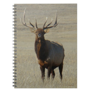 Cuaderno E59 Alce Toro