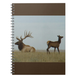 Cuaderno E5 Alce Toro y Cría