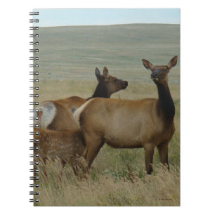 Cuaderno E61 Alce hembra y cría