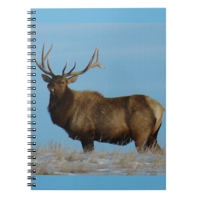 Cuaderno E62 Alce Toro Silueteado en el Cielo (Frente)