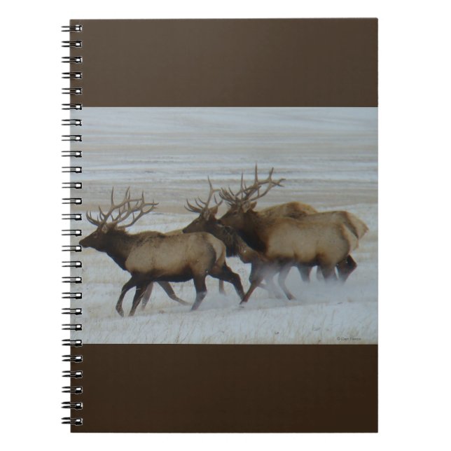 Cuaderno E64 Alce Toro Corriendo en Nieve (Frente)