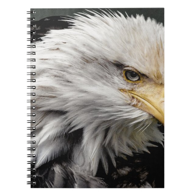 CUADERNO EAGLE (Frente)
