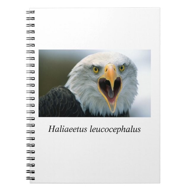 Cuaderno Eagle#2 (Frente)