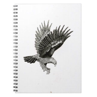 Cuaderno                                  Eagle by Light