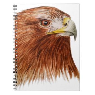 Cuaderno Eagle de oro 2011