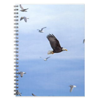 Cuaderno Eagle y el volar de las gaviotas