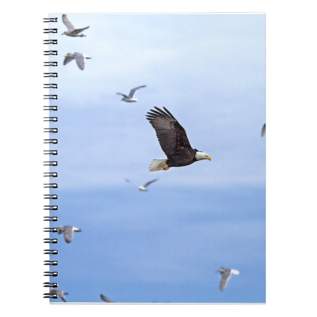 Cuaderno Eagle y el volar de las gaviotas (Frente)