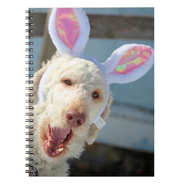 Cuaderno Easter Ollie (Frente)