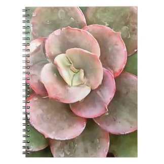 Cuaderno Echeveria Cactus Suculento Pintura Acrílica