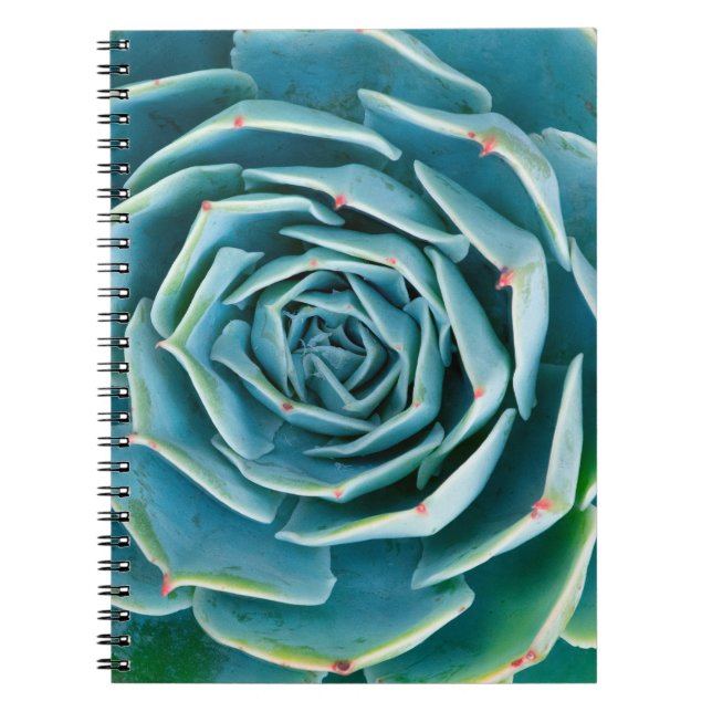 Cuaderno Echeveria Roseta, Jardín Secreto de Marrakech (Frente)