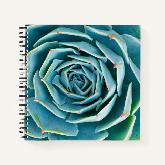 Cuaderno Echeveria Roseta, Jardín Secreto de Marrakech (Anverso)